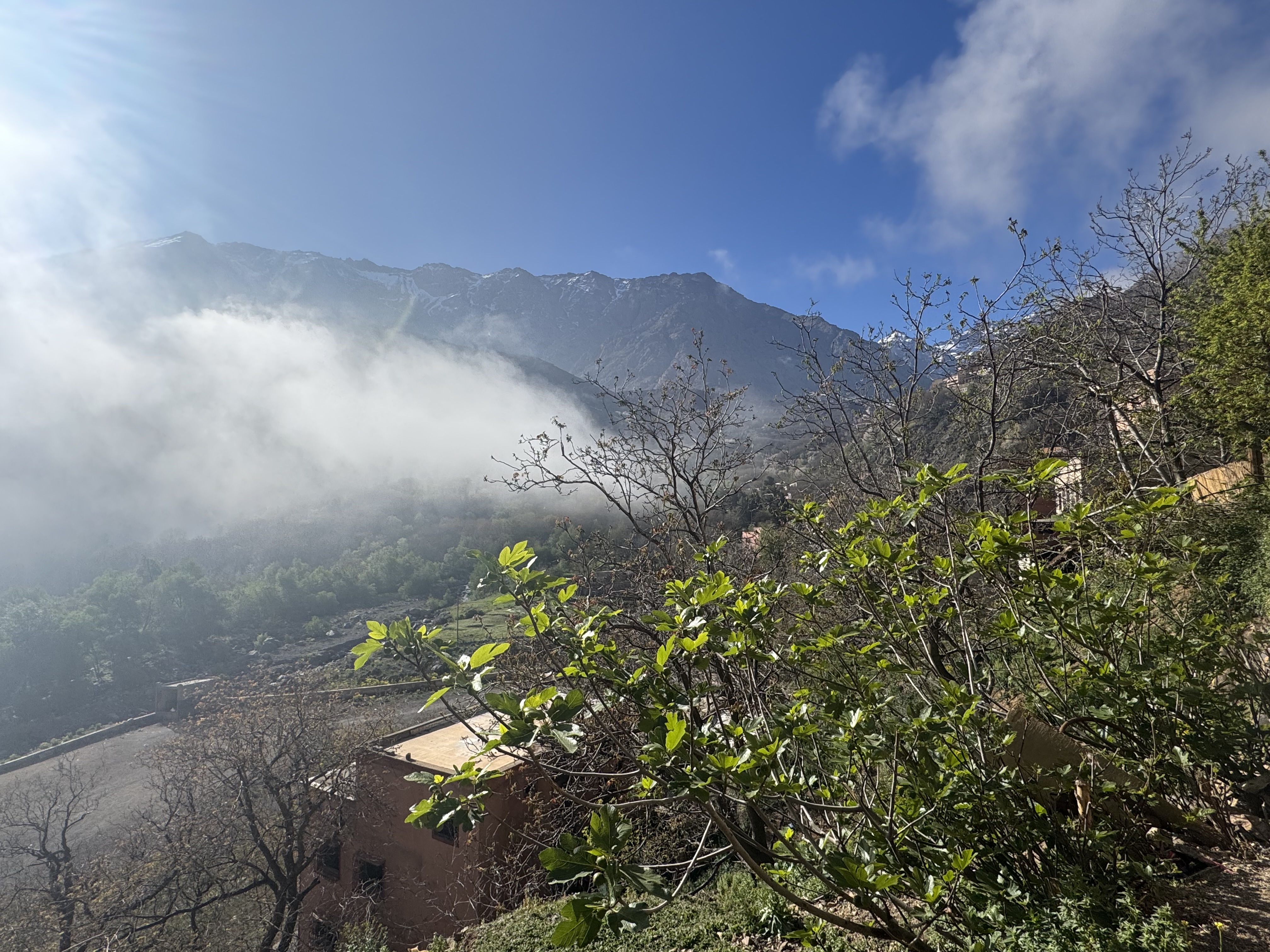 media_7LL7B6PQAYS9BKVH