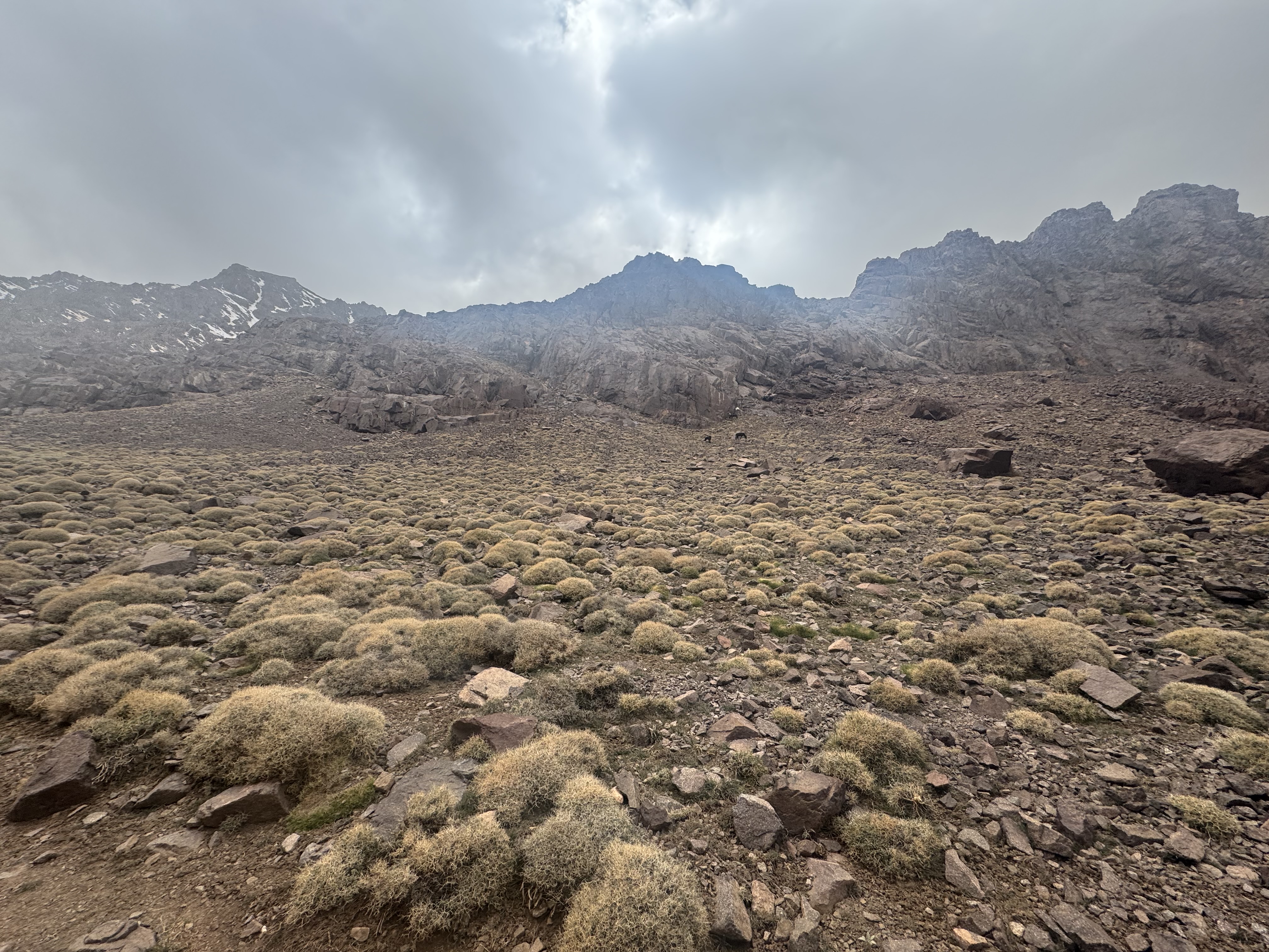 media_UGFUXCY75R6EGCG6