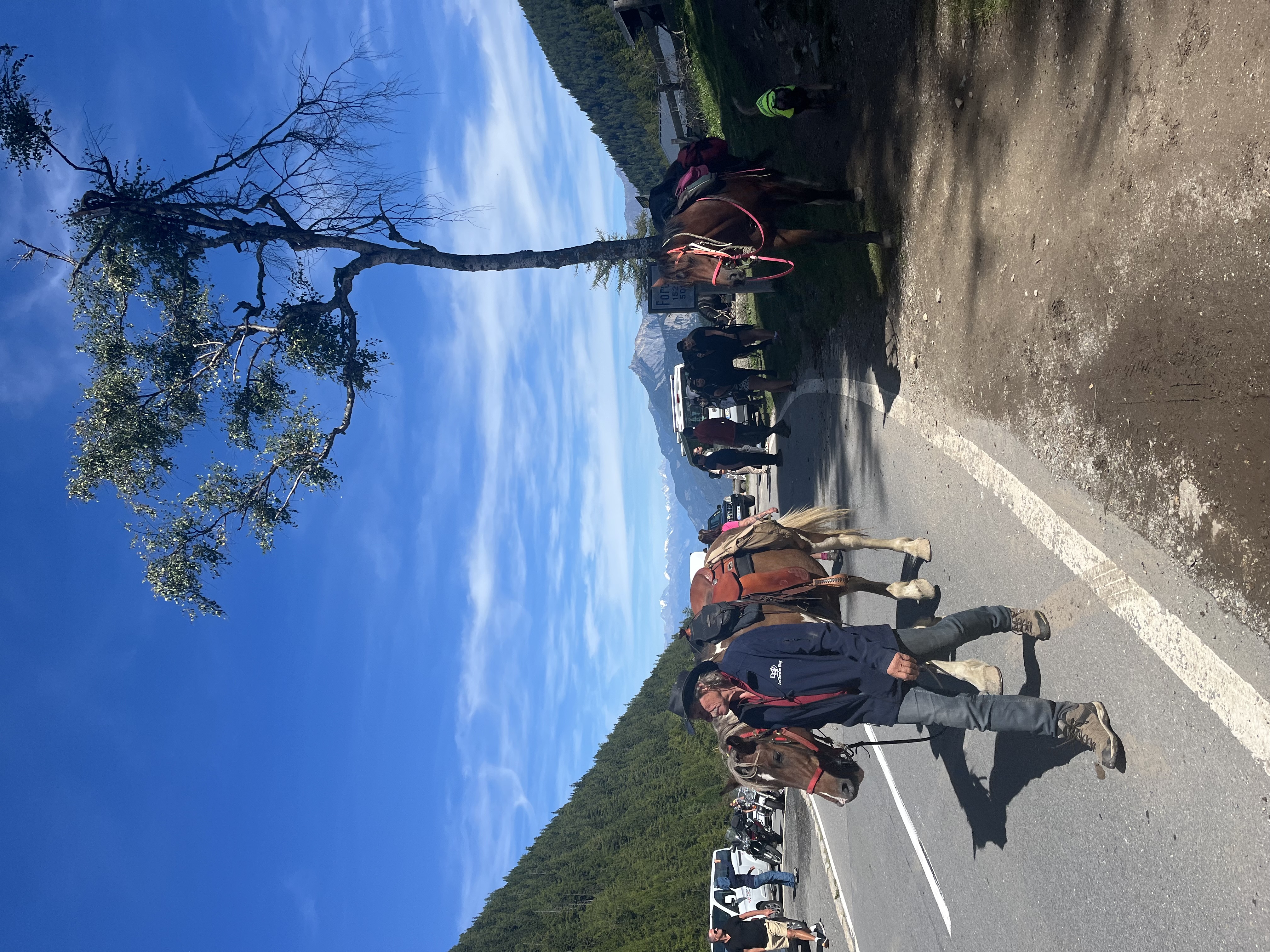 media_M4JU6YKCM5KMQM3E