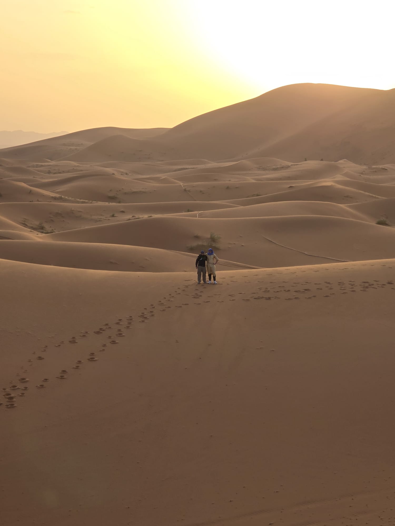 media_P4475Z3EVNPEGFF6