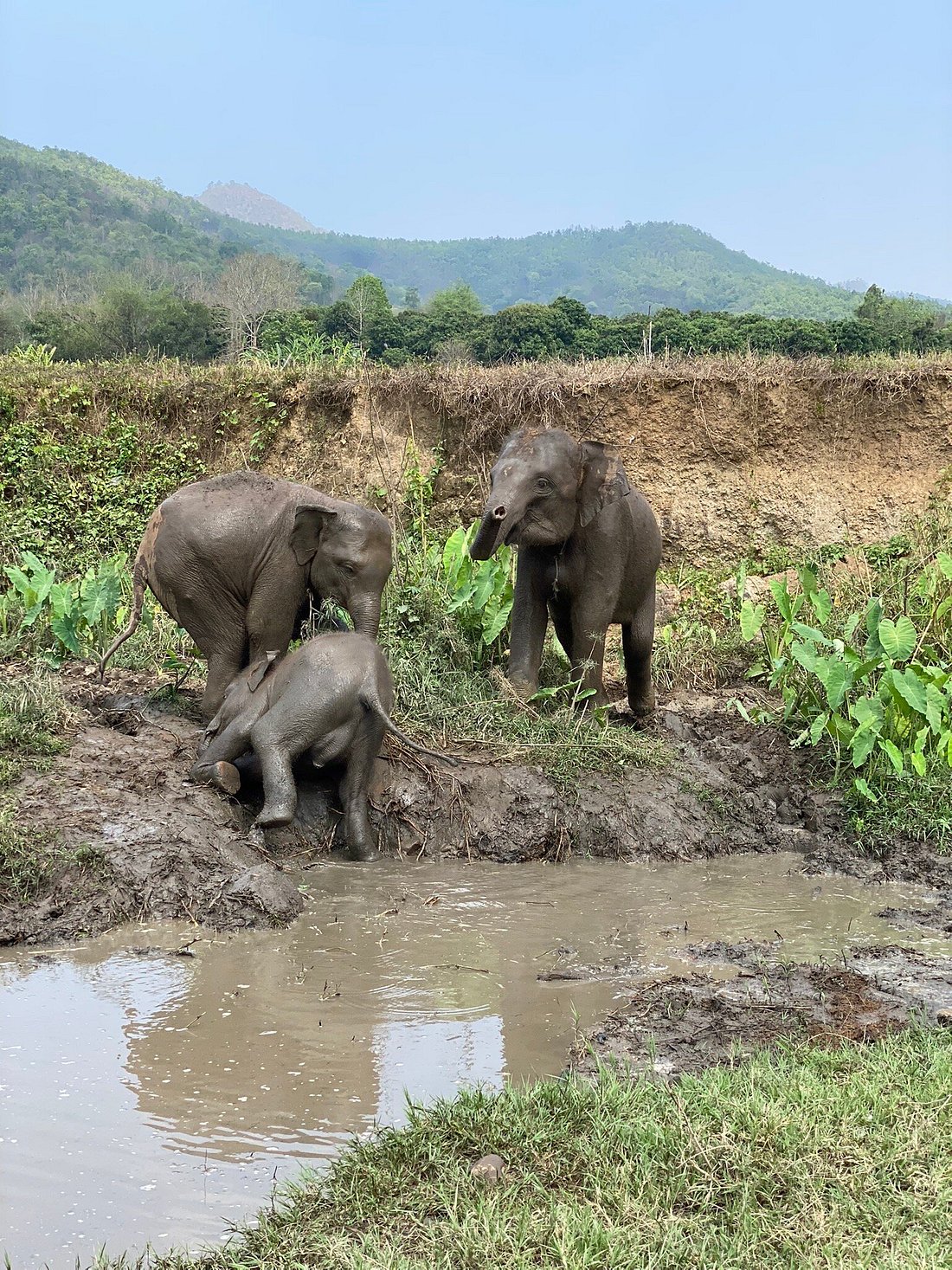 media_42827T55ZLLJJ936