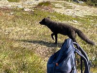 media_6Q4BNHVRHFZ46CTD