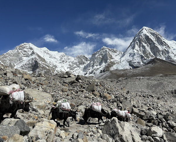 media_6R9P9HSA7SN6SRVG