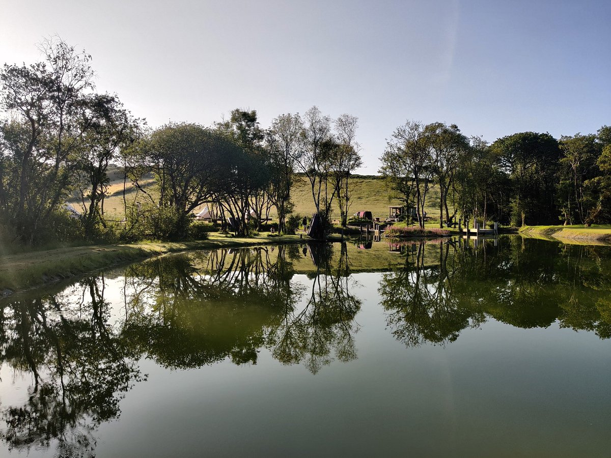 media_88UMMV4GM2PRBSXA