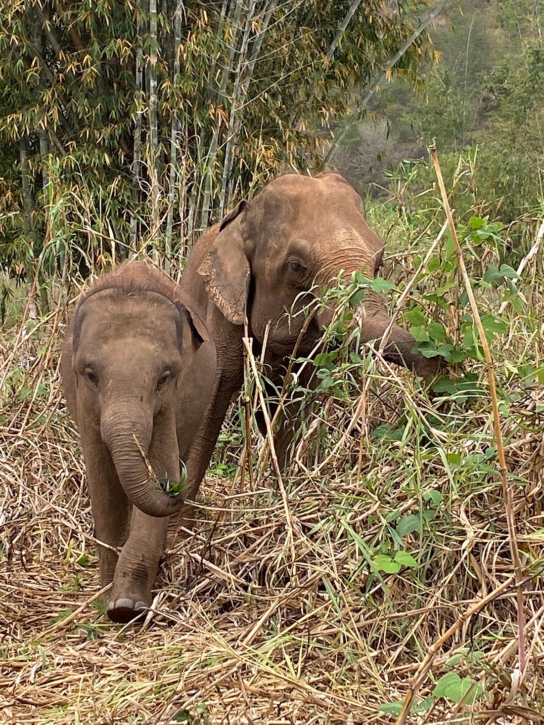 media_8A665YT7VABL4FXB