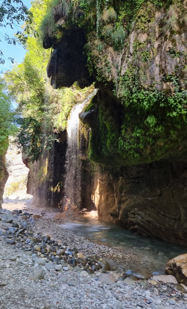 media_ACF8RR7QWBLZULNA