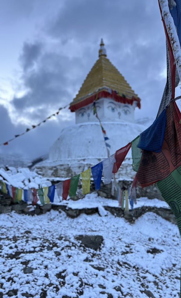 media_AUV8TLJ5YHEXYHP3