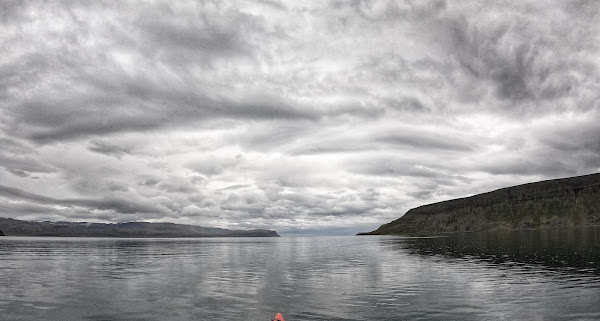 media_B688M953D3MJZAT9