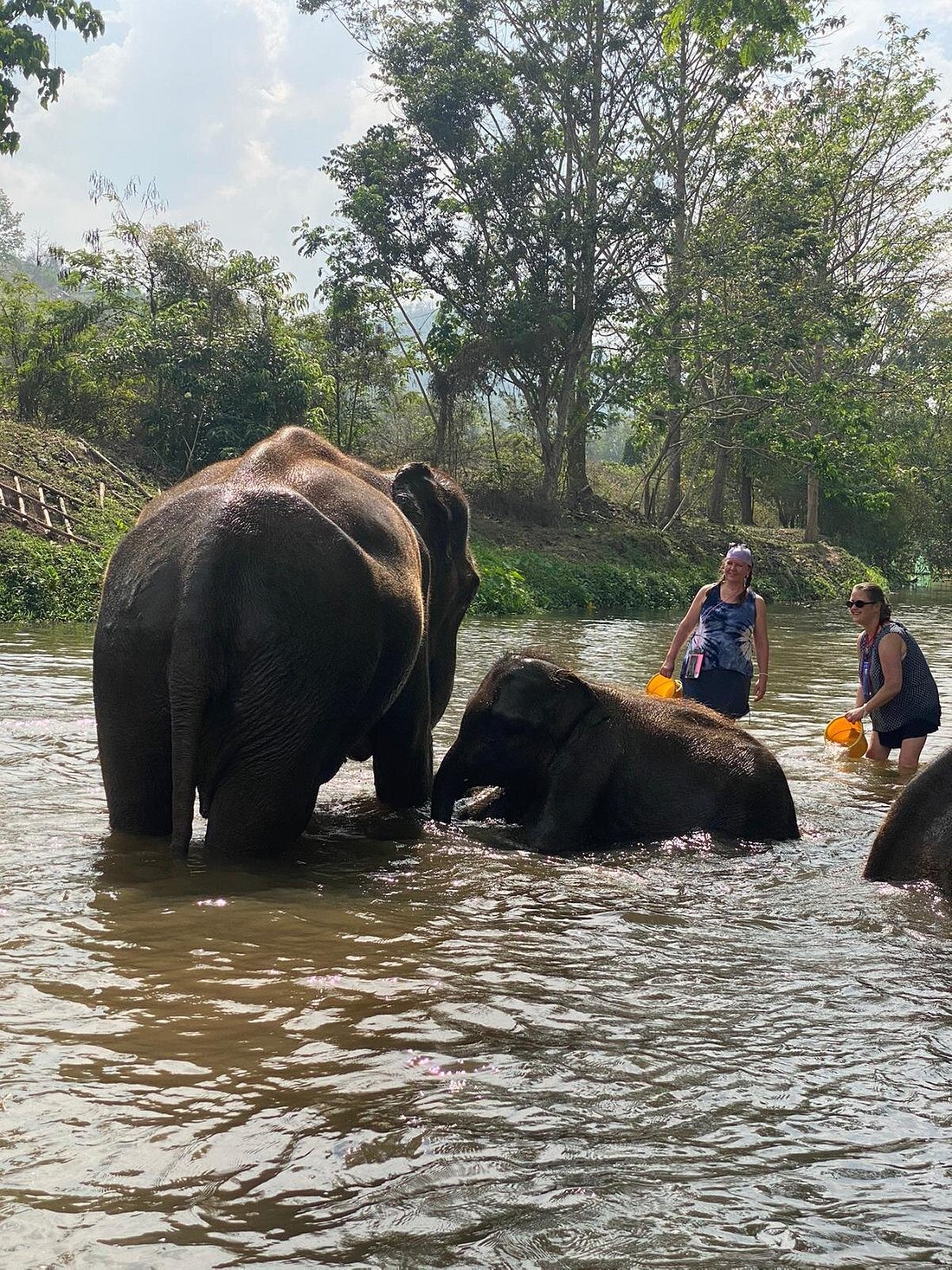 media_CFGWF5DP3G39DFYN