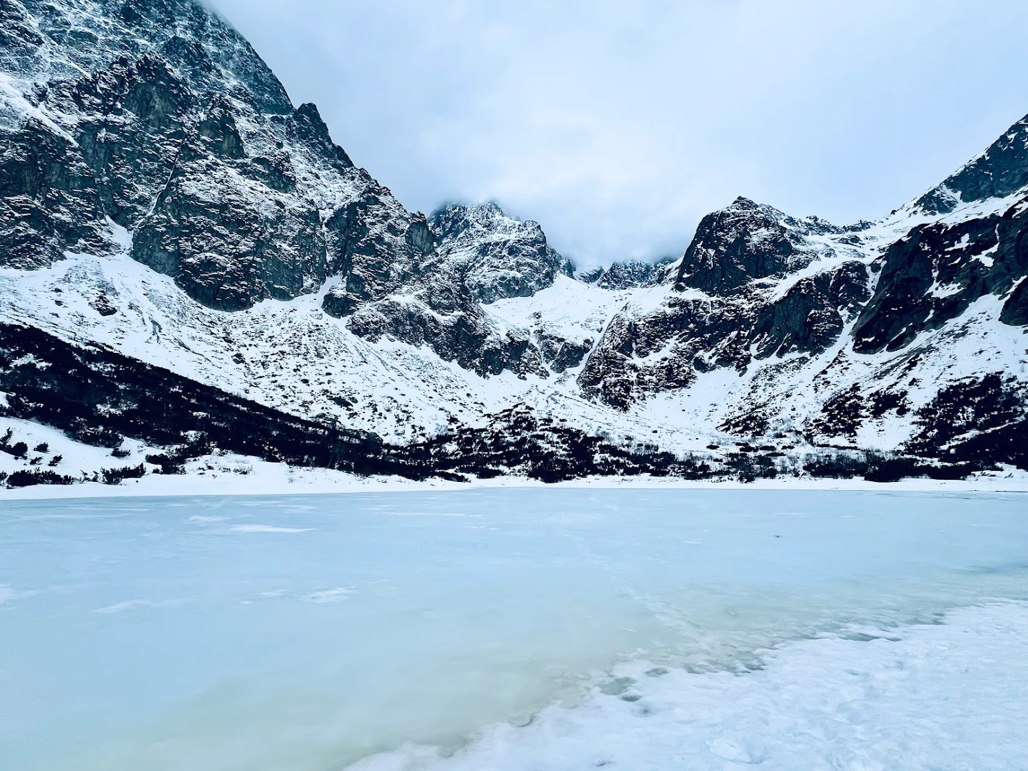 media_CX5GV6VADYLTET8H