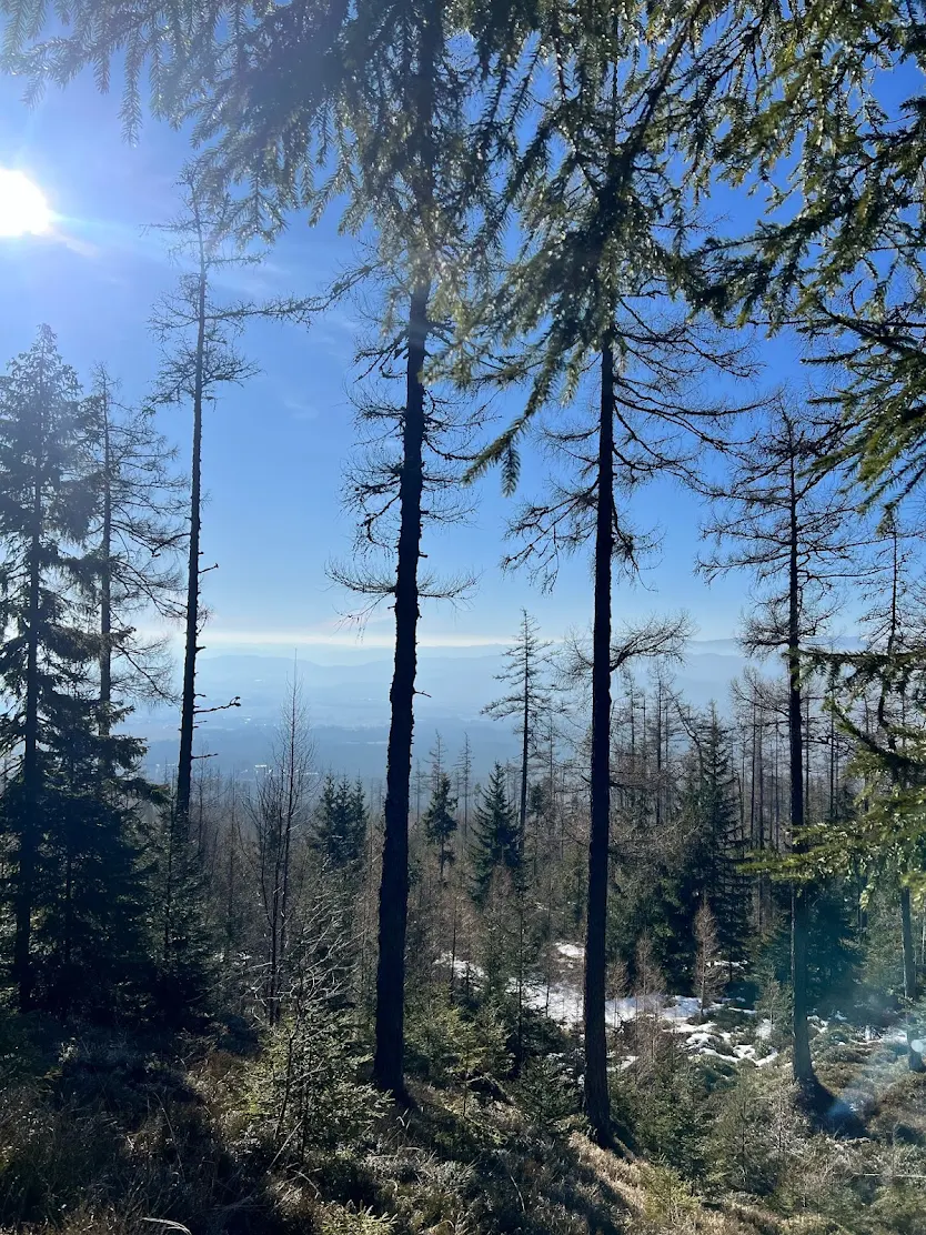 media_EYQK27CDTMSF56WK