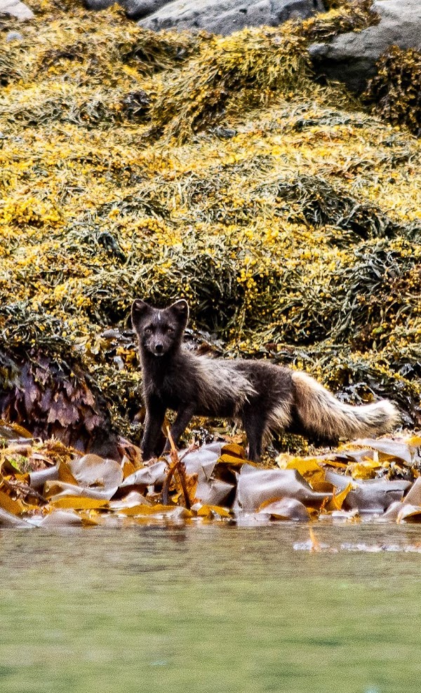 media_FQCL32YPGJ6JGB42