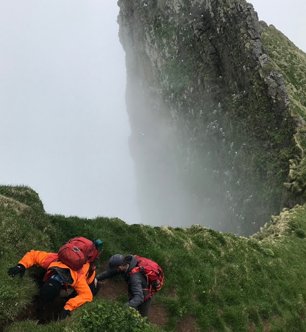 media_FYSBRNPSZDYK7GLD