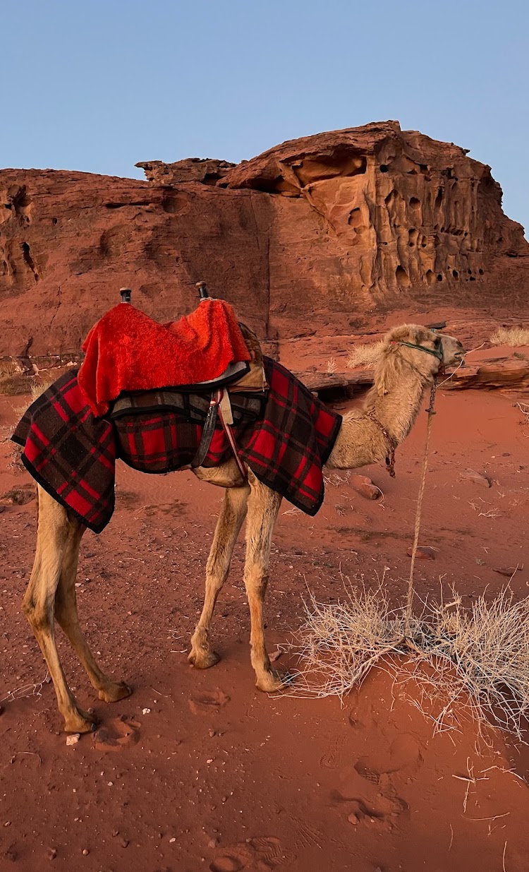 media_GK2FMPBM5JYG34MV