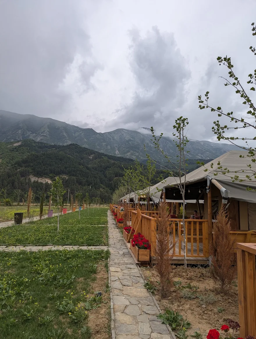 media_K2XNWKWJHN2Q97TS