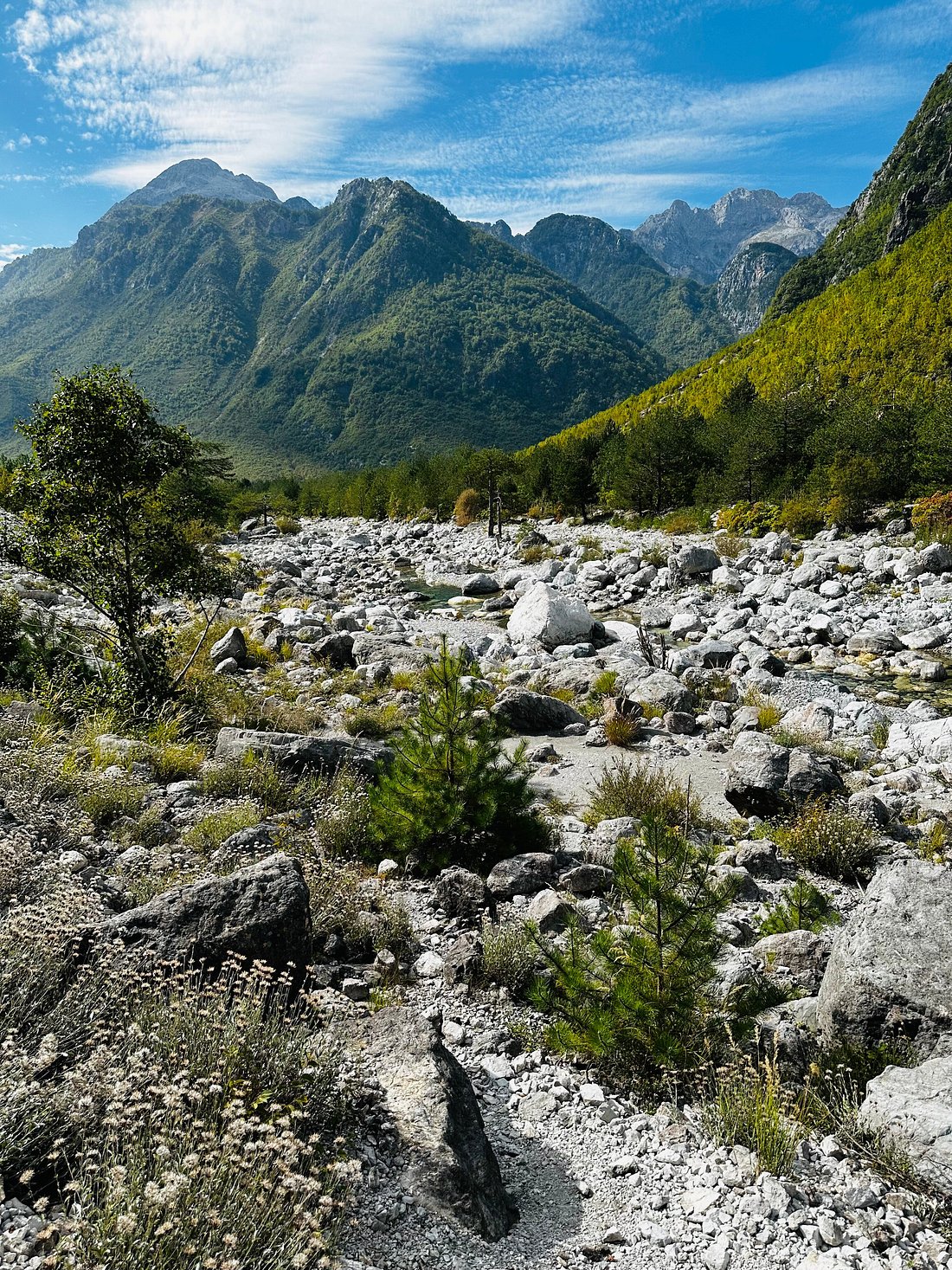 media_K85PU3EP9SUF7FYK