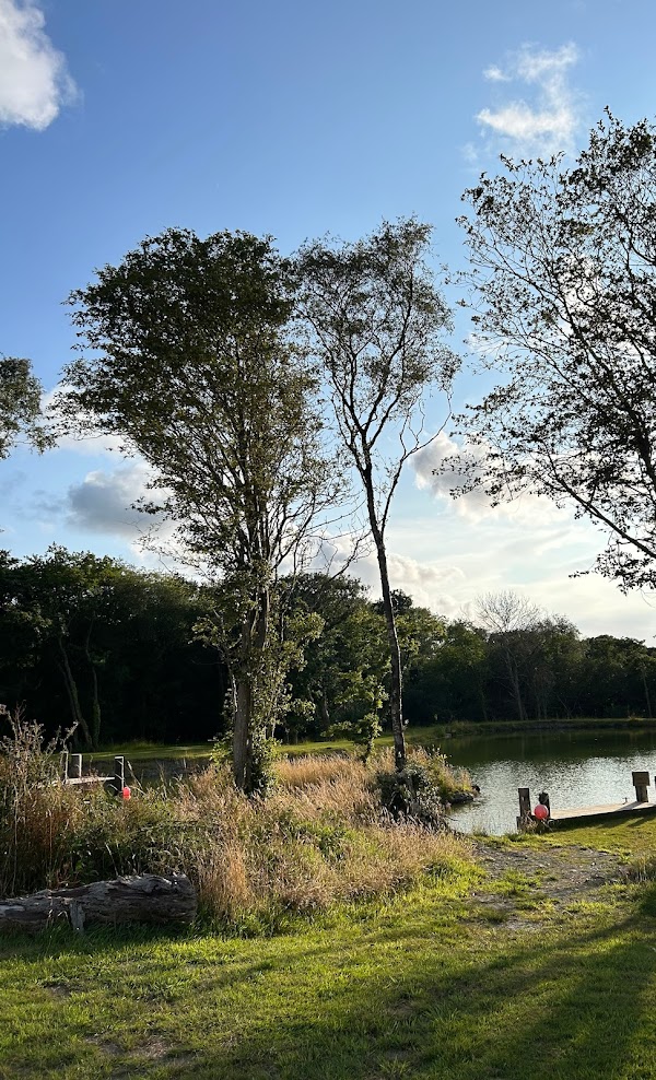 media_KUJ7B5969ZK3WCK3