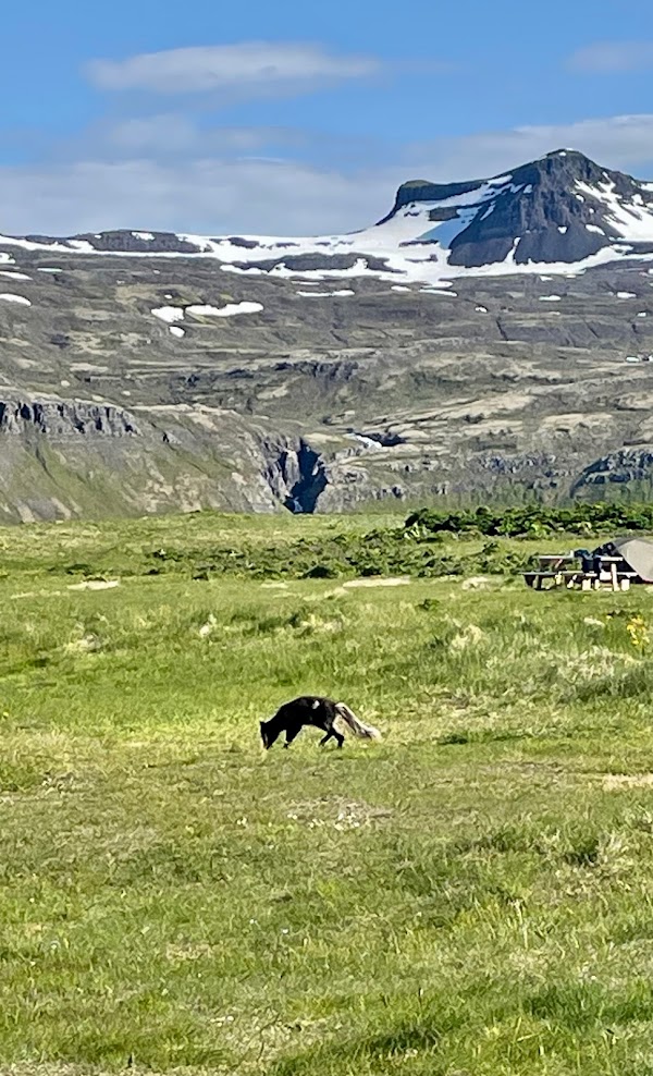 media_M4SQXUTTMC8RCDDN