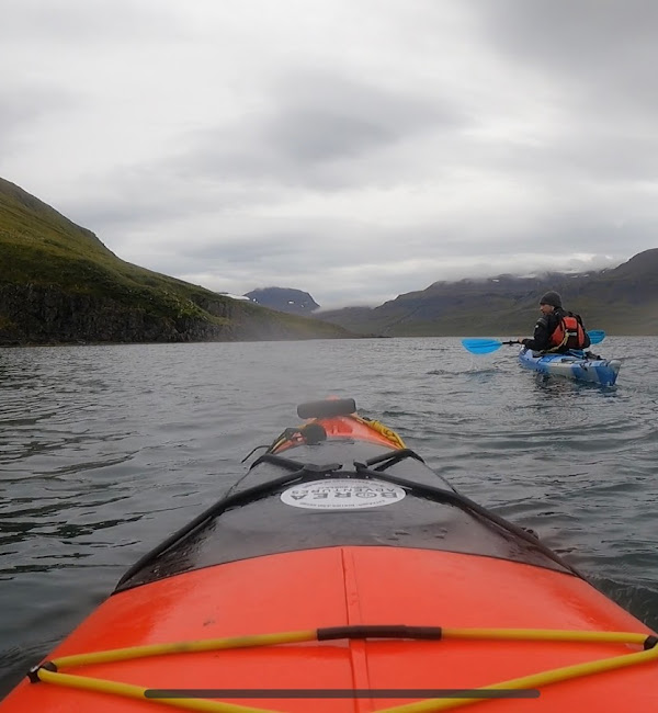 media_M4T7CMDZP8MPXSY9