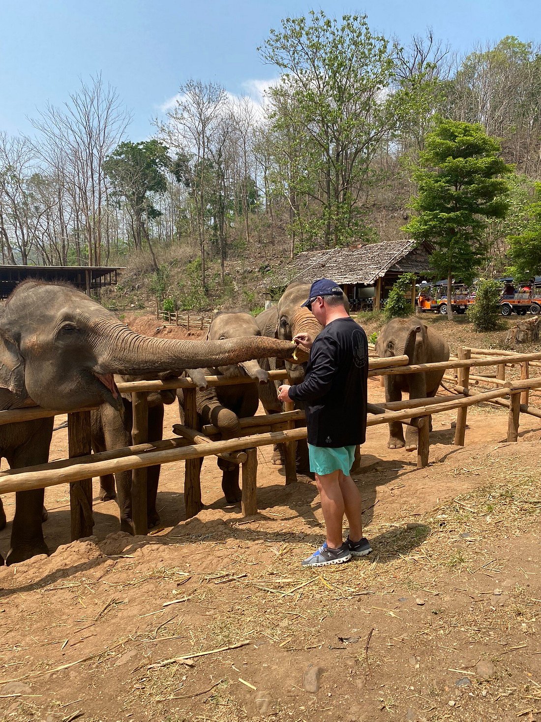 media_MAJG28TH7Y5CLFZL