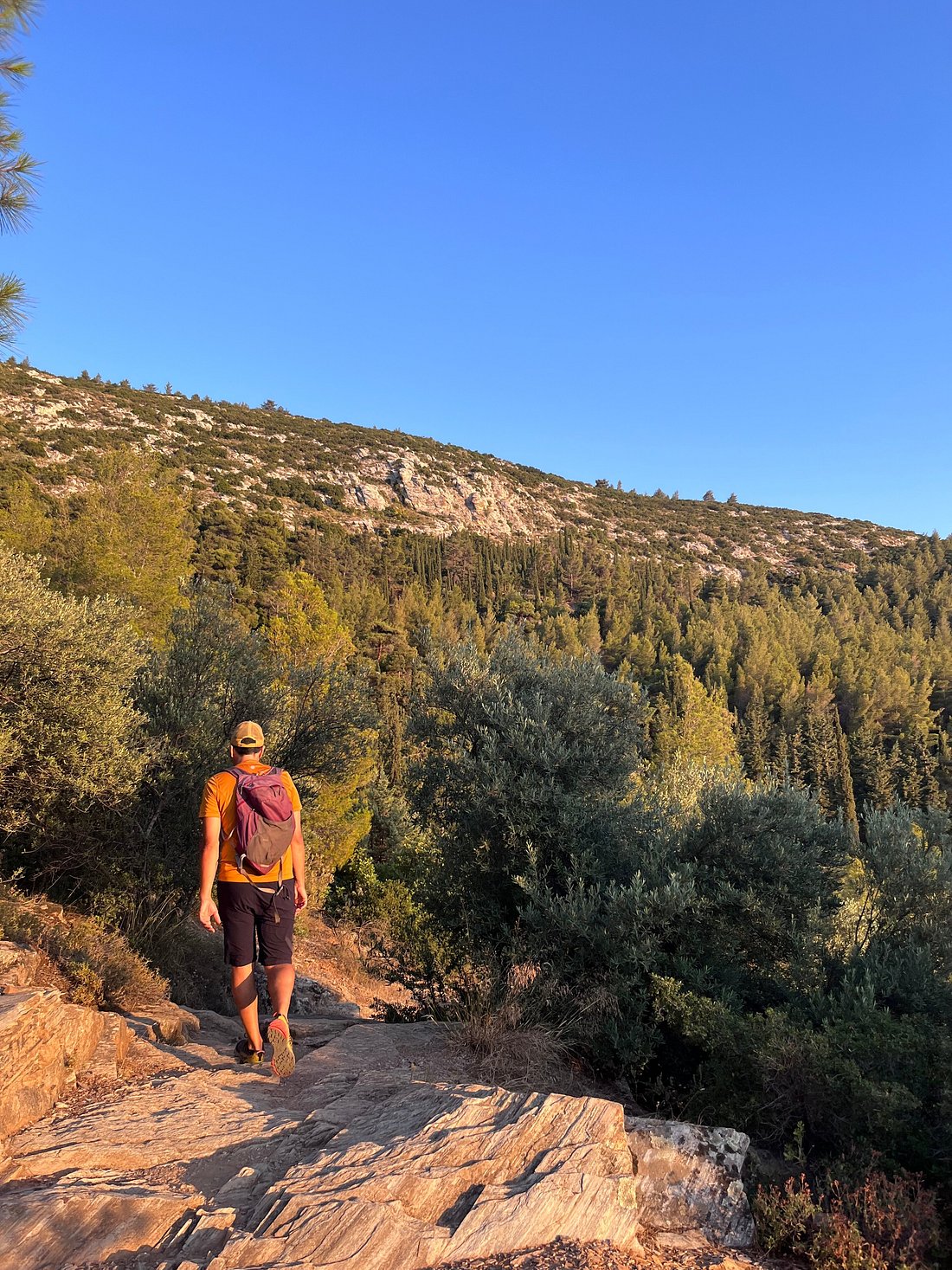 media_MHQXU8QS6679UHCX