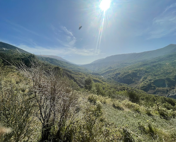 media_NAVH97FTFZC8FDEW