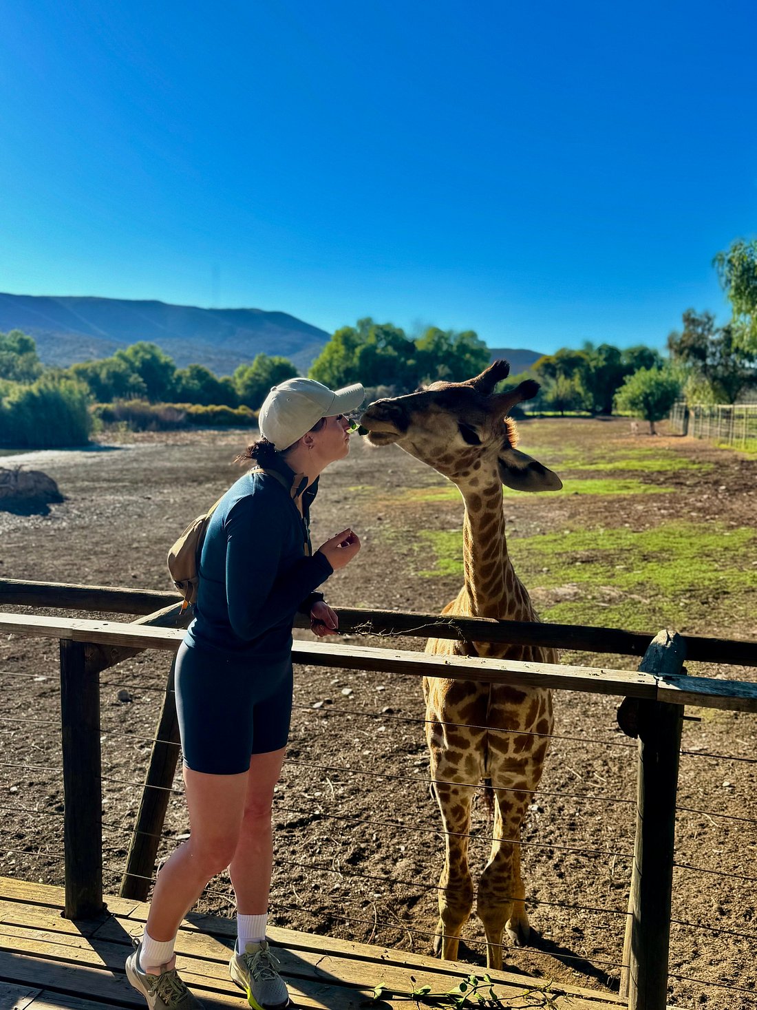 media_QPJ3BUTABL6GLFL9