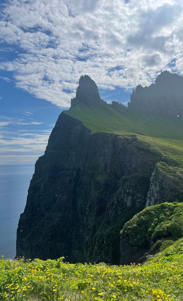 media_SPR38UTYBE4NVUYB