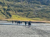 media_TQKF39KEJREAMNC8