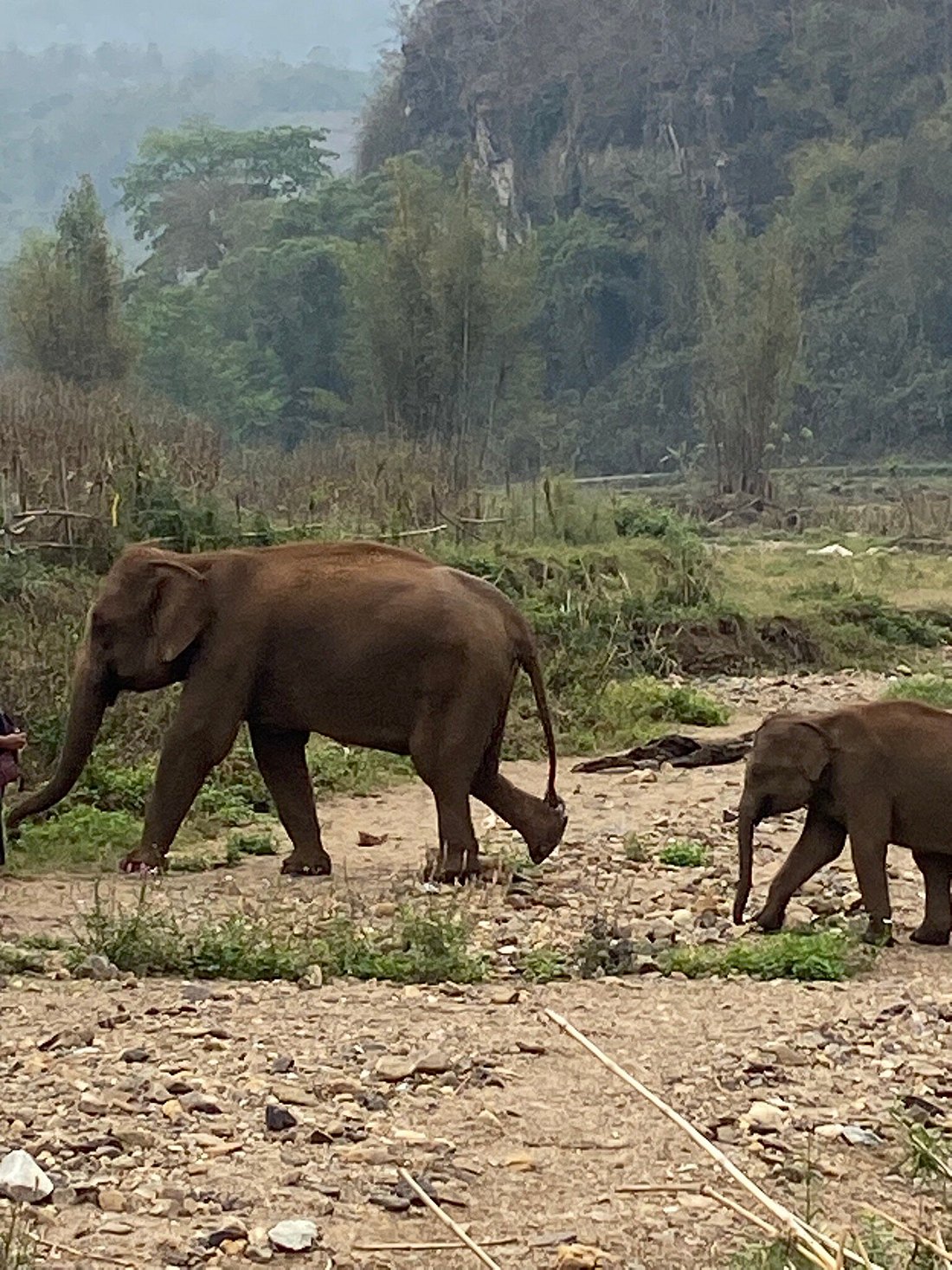 media_UDKF827L8UV8F7T8