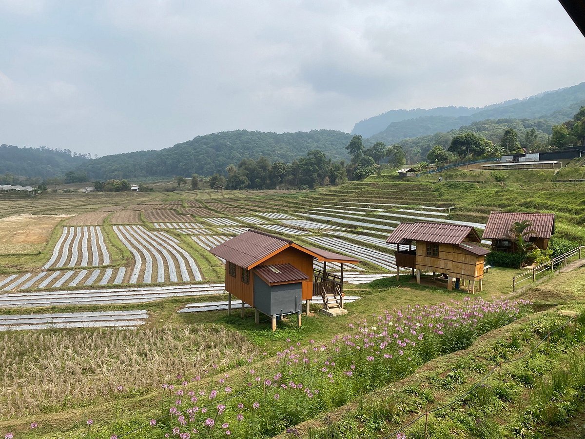 media_WRQ8MMUNKTZXXMPD