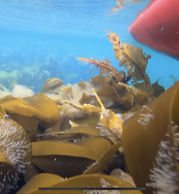 media_XH3N9Y778YUWK3B5