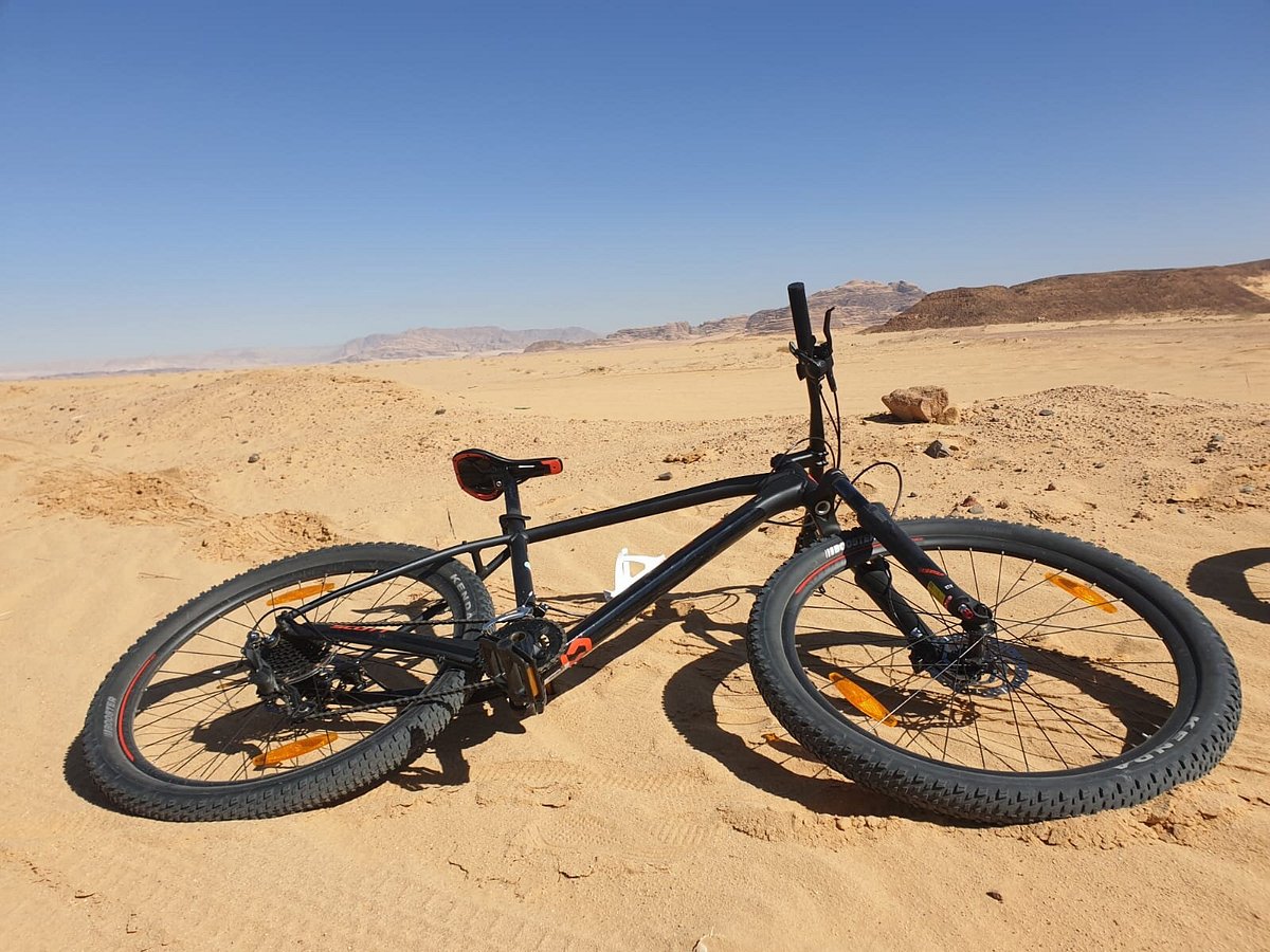 media_ZVVSYFUJ6Q74TX77