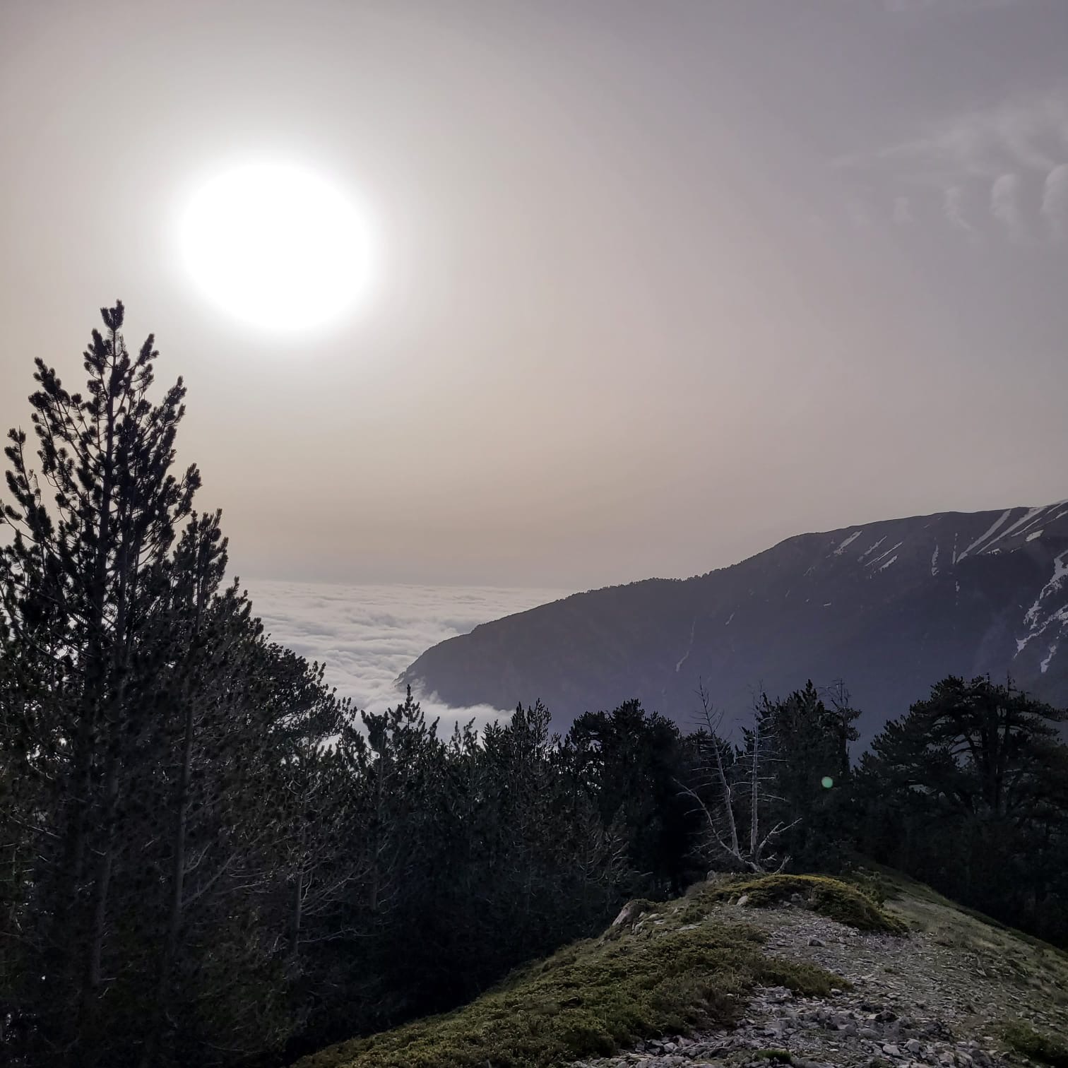 media_4J972FYPYLAVDJGR