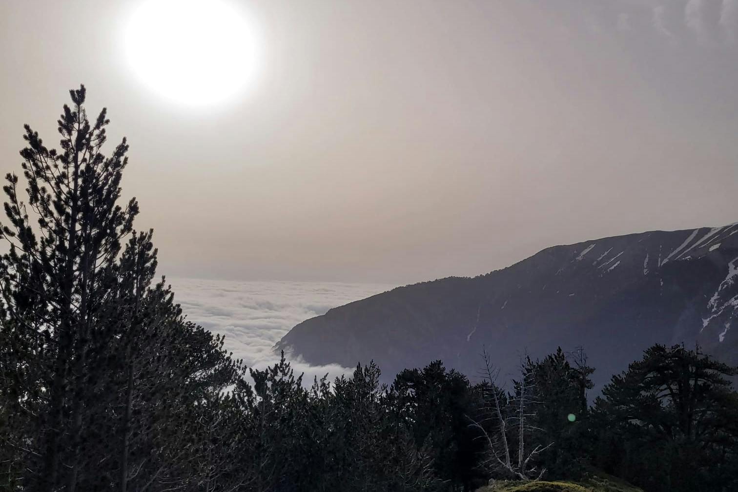 media_4J972FYPYLAVDJGR