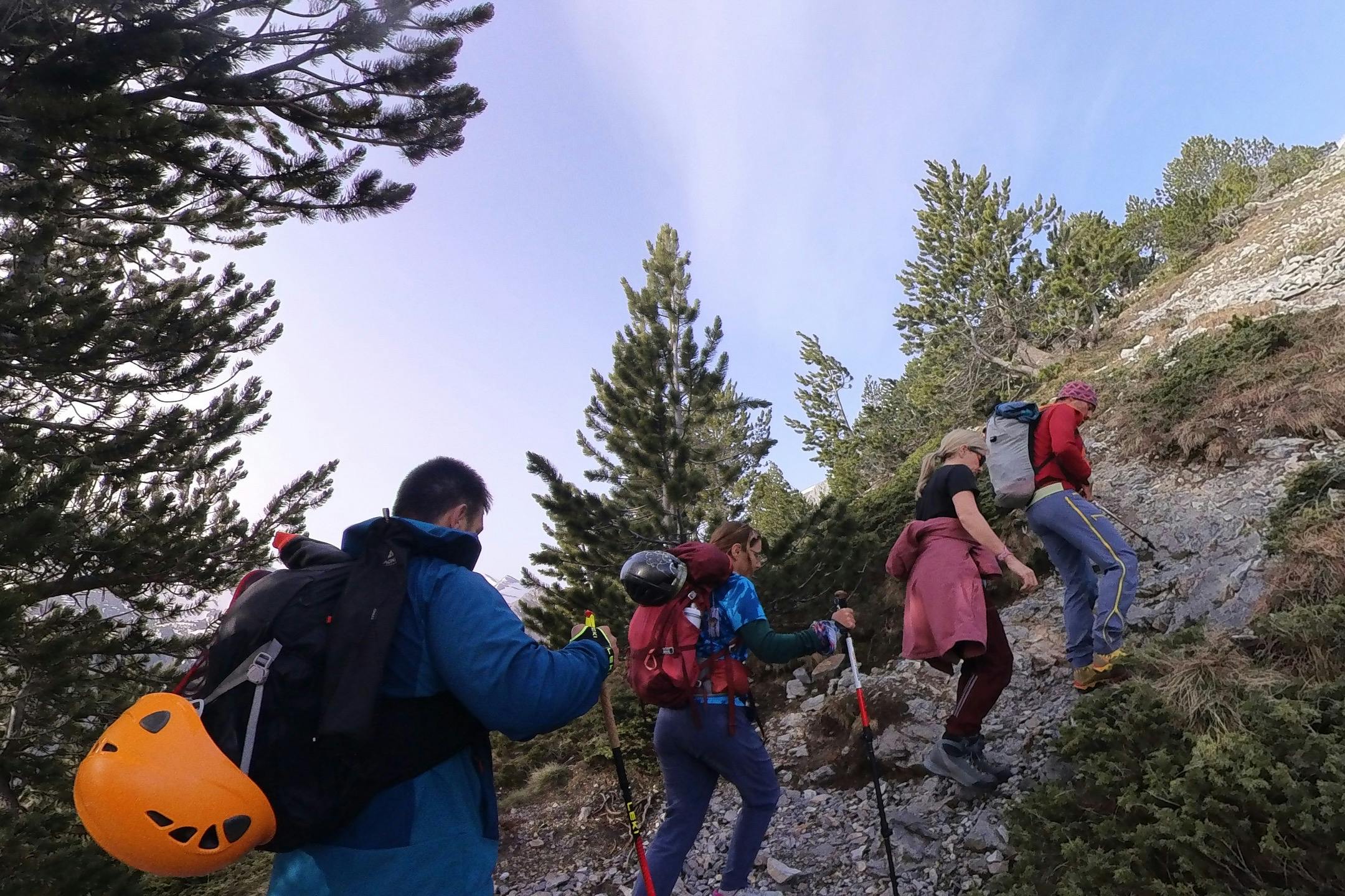 media_JFMH9UVWF46JN37T