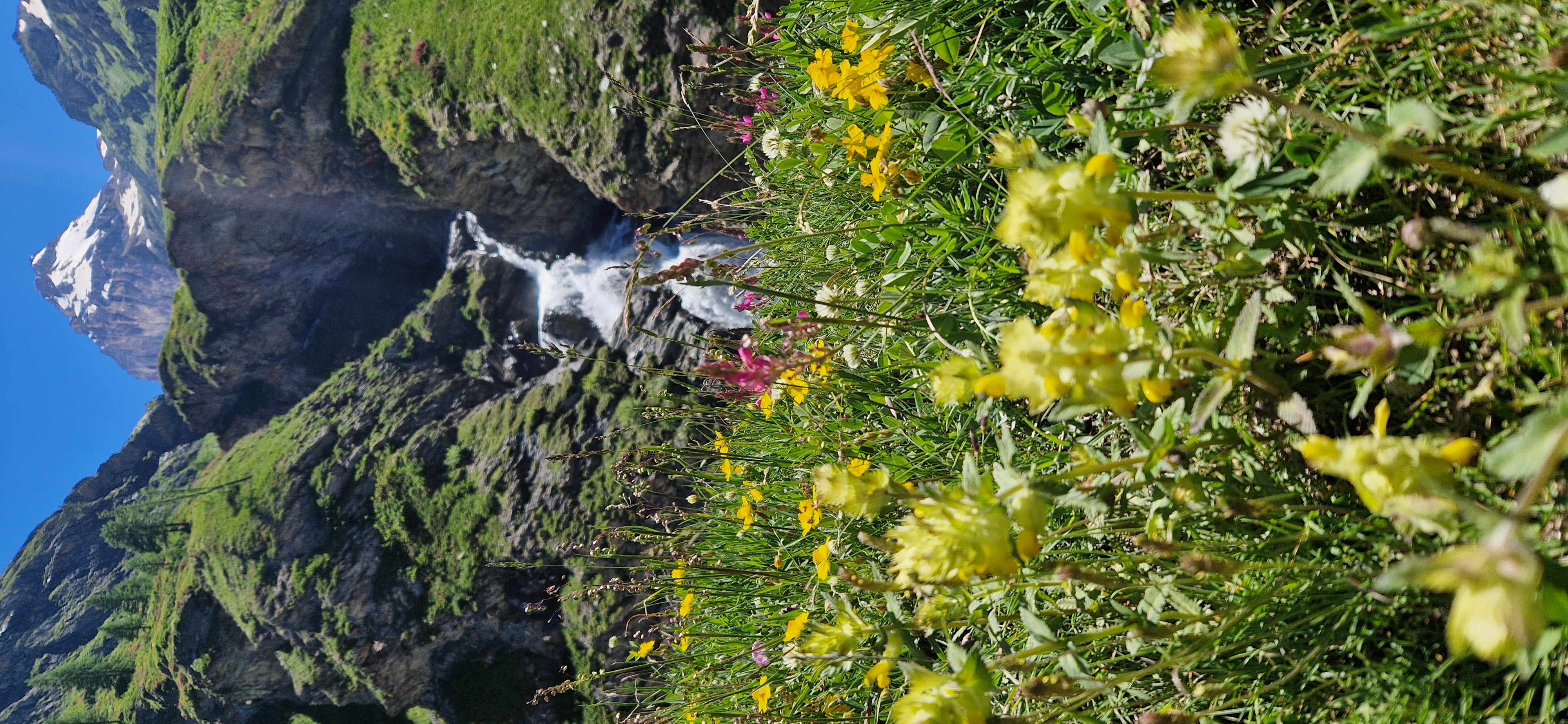 media_DKE3BXNUM6EFT4G8