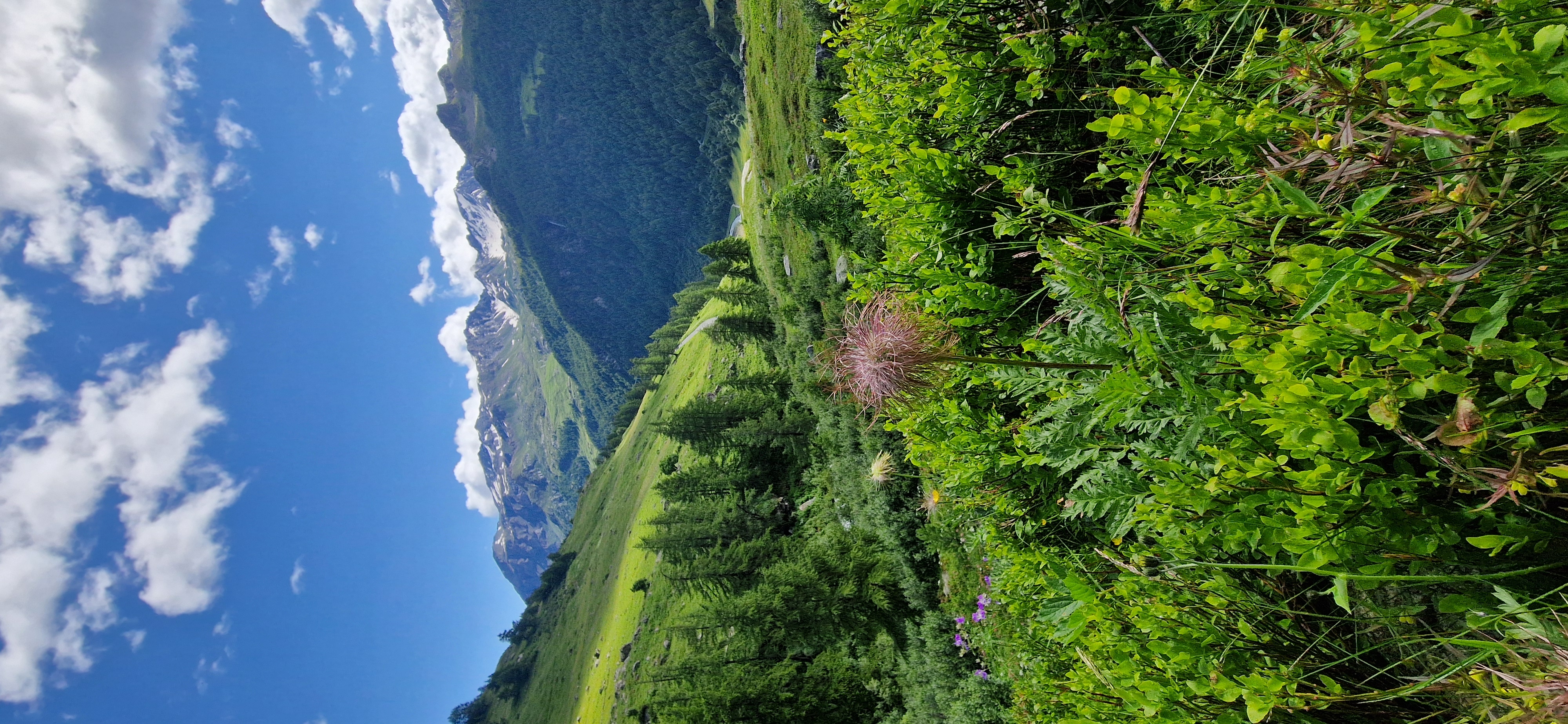 media_QBPZ3NJ6YH5MVJP7