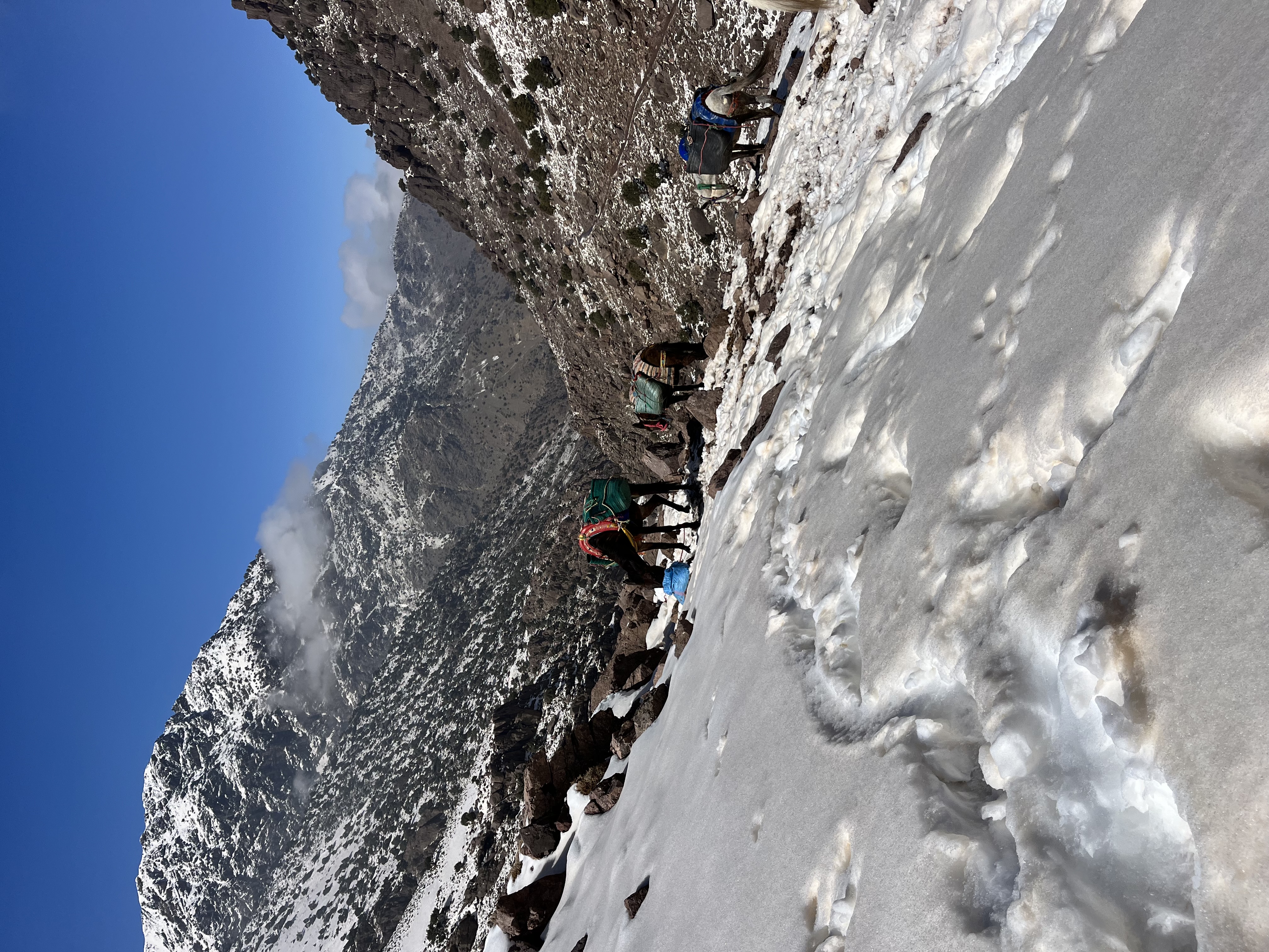 media_XEVCHTQE7WQF5M2S