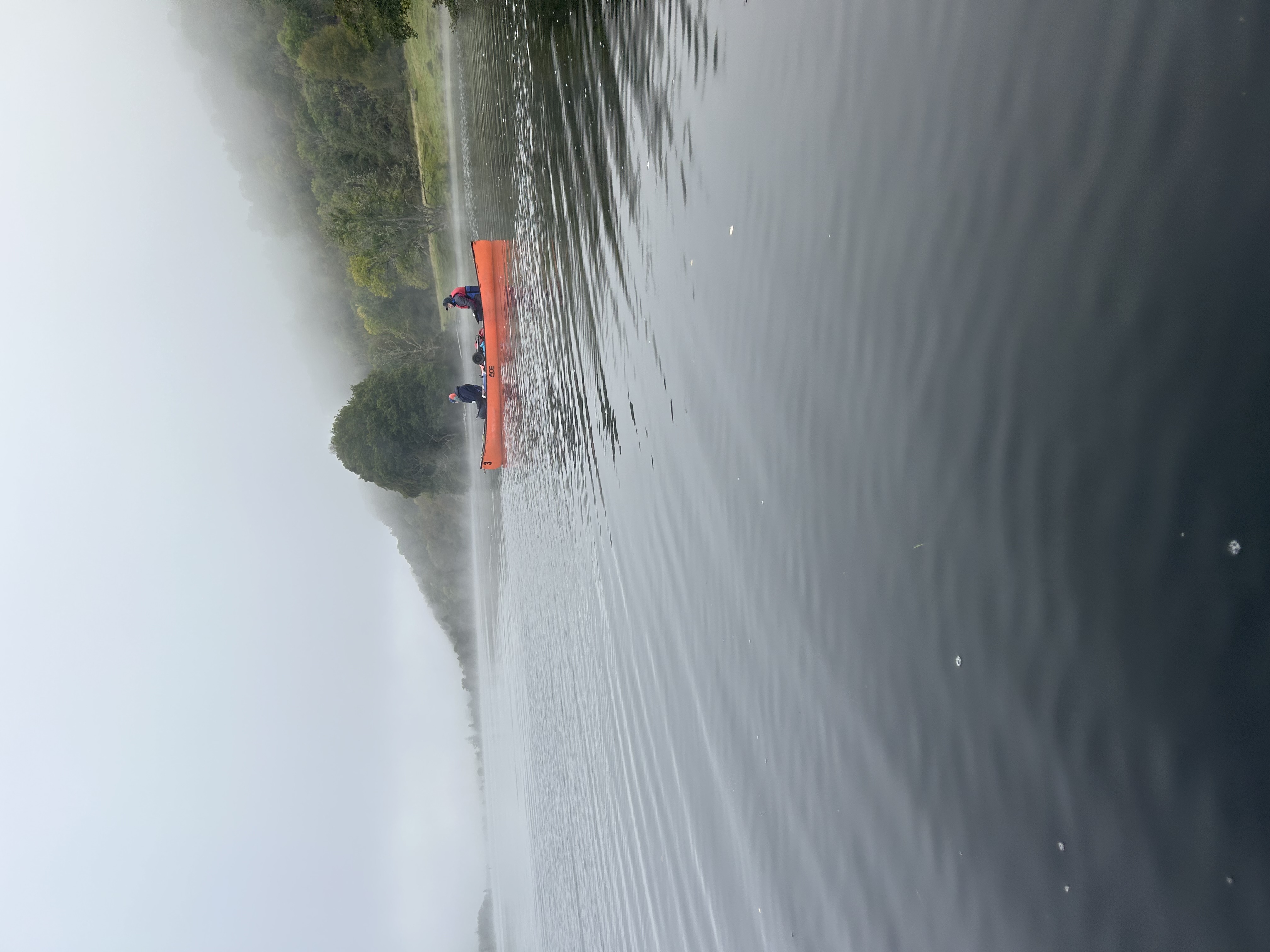 media_8LG98LGEKWYECRDS