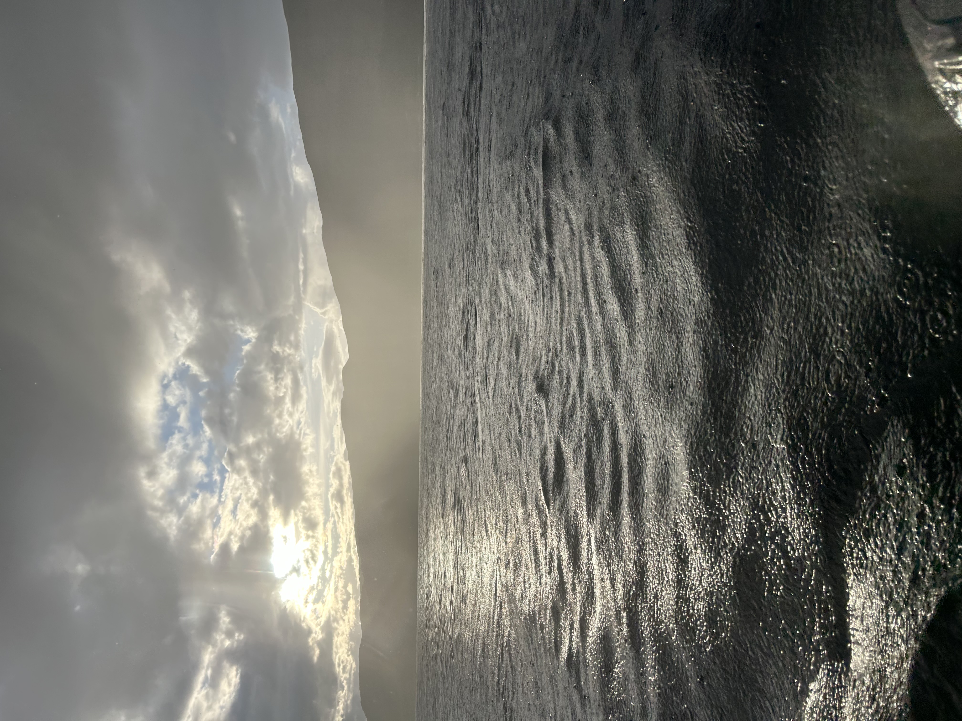 media_FTC6SVT5FZZKJMGP