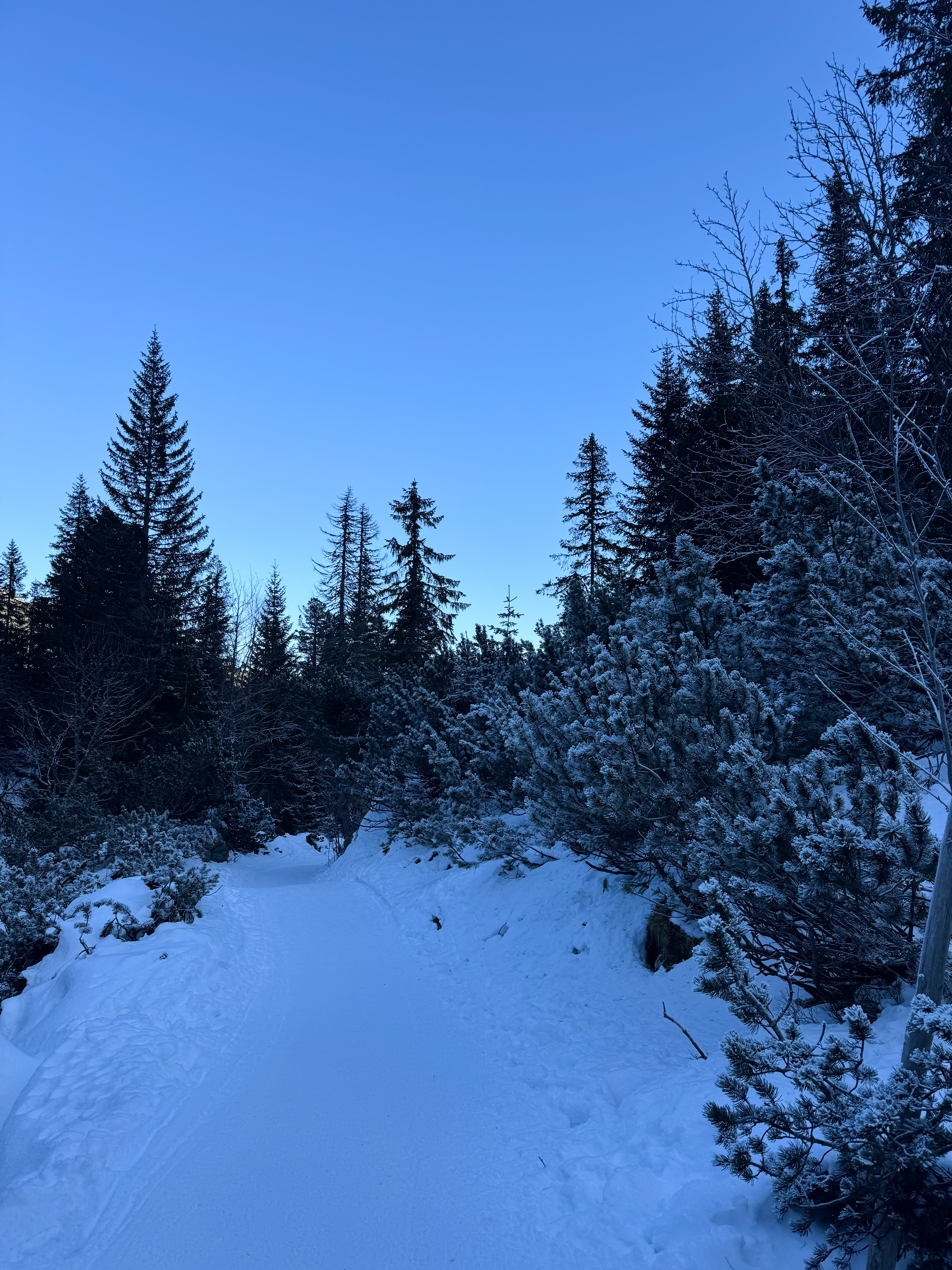 media_CEUVMT2QQYUMPS5M