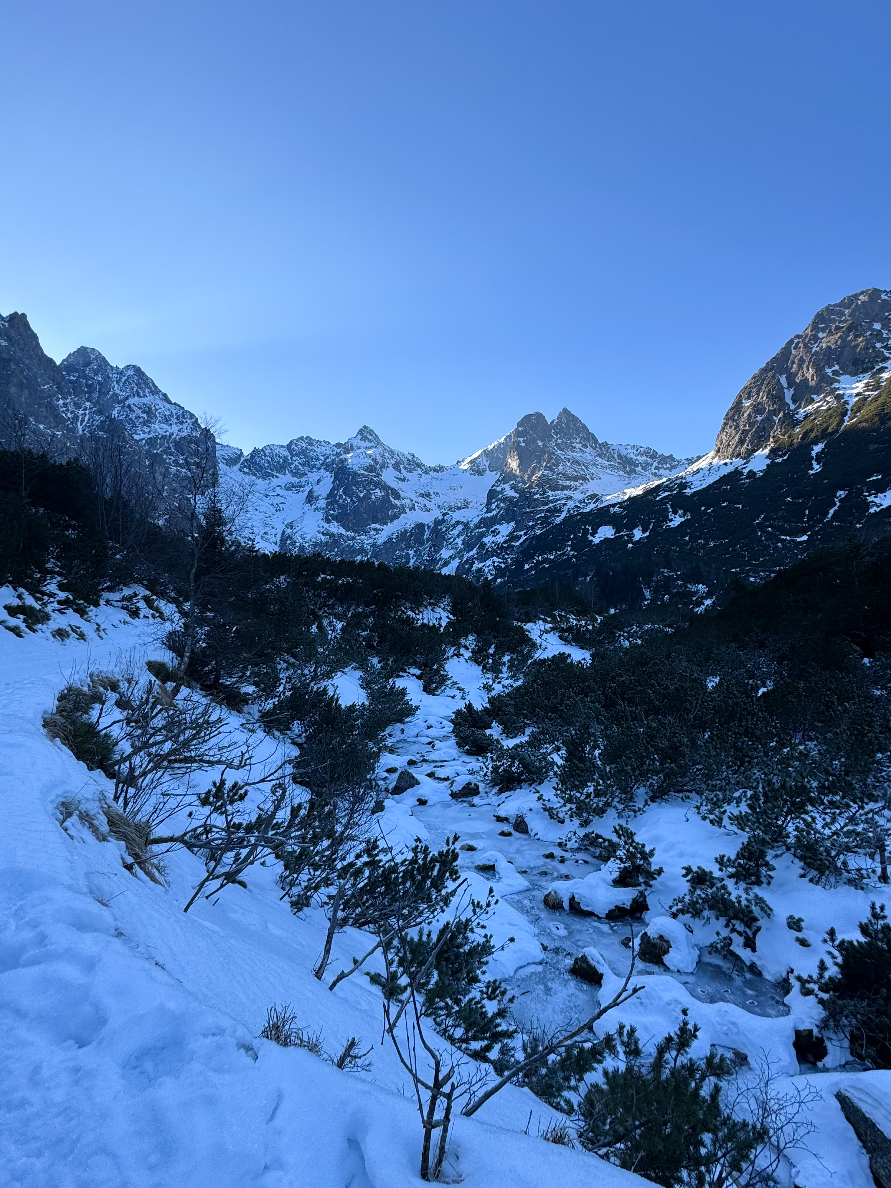 media_FF9M5LW9U5YK9TVZ