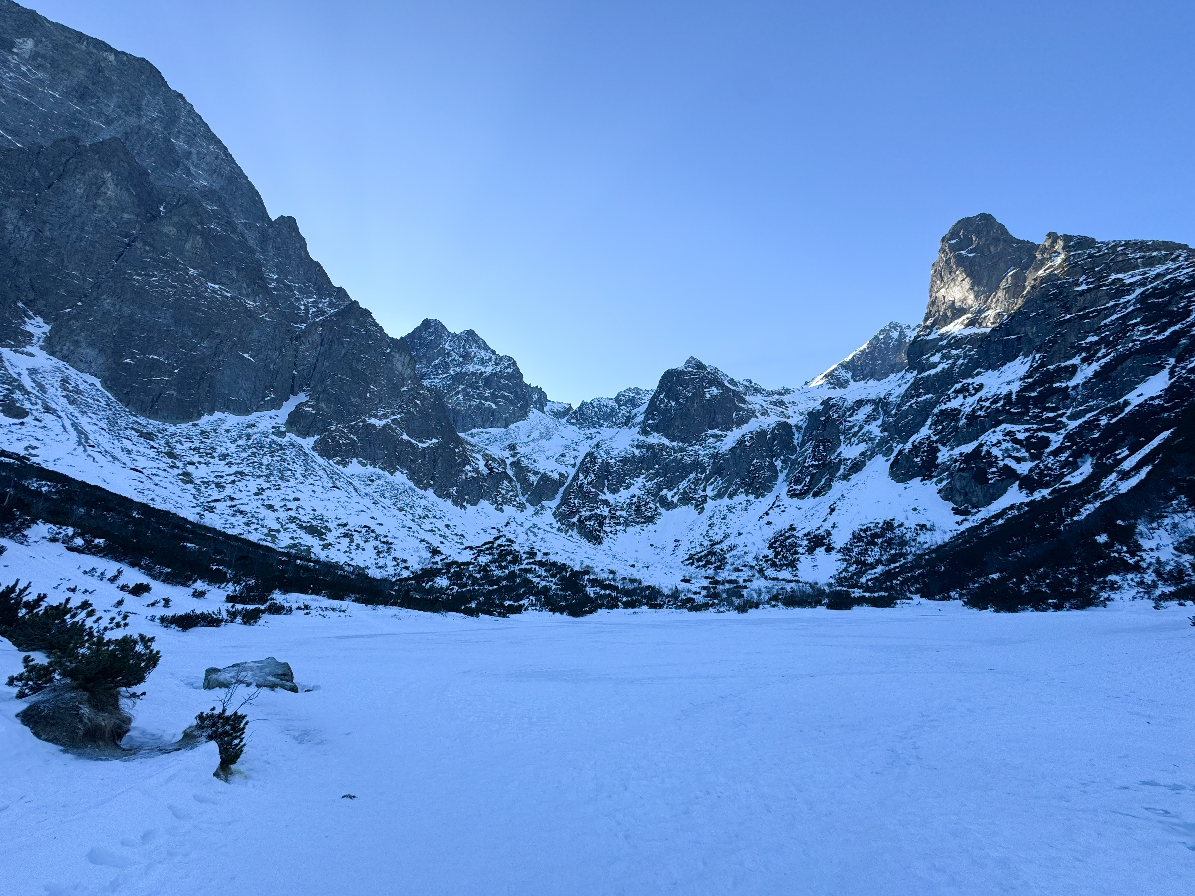 media_G8XG8K5Z248NCZ3M