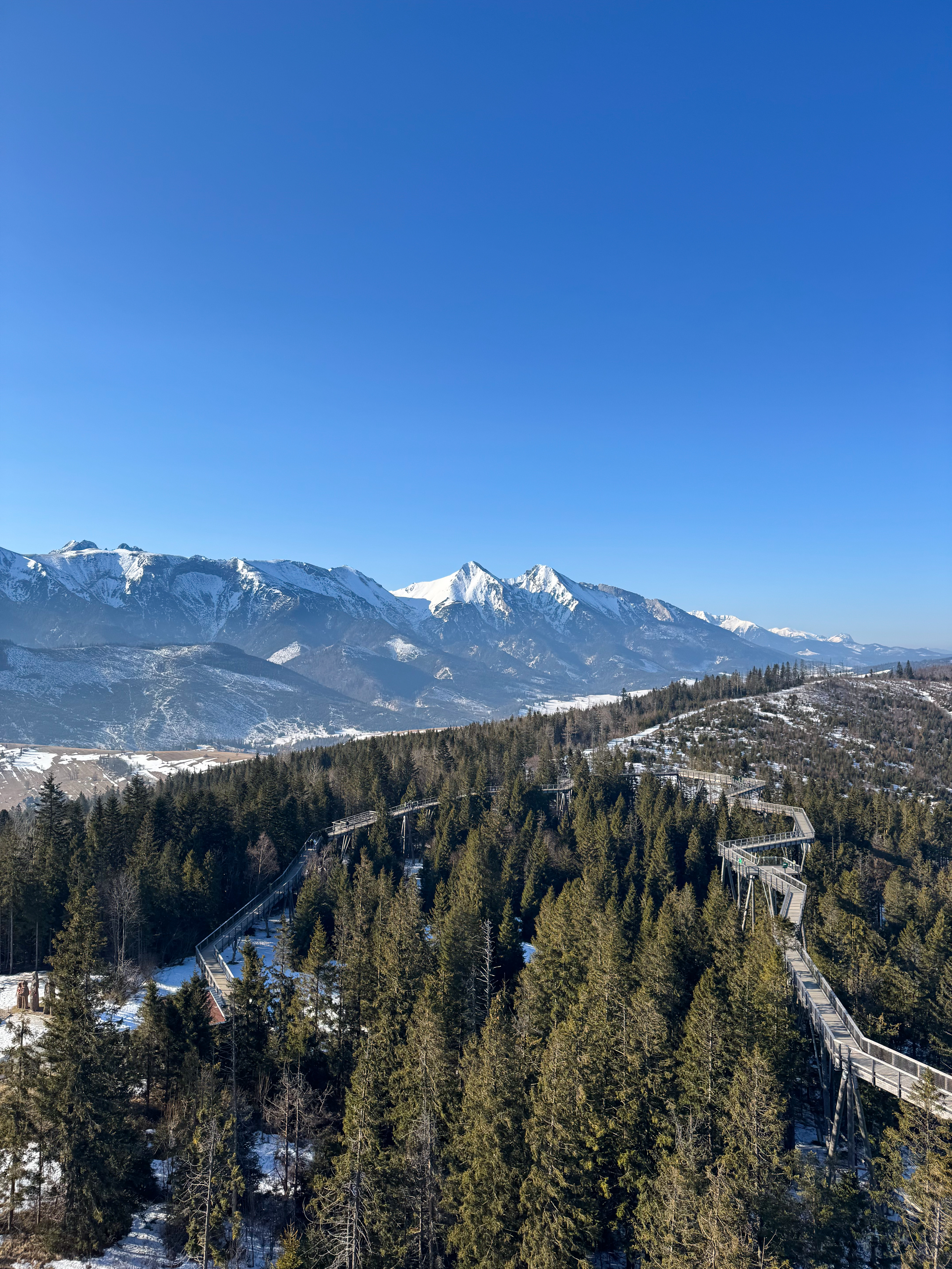 media_S8GM3N33CNCQA9BY