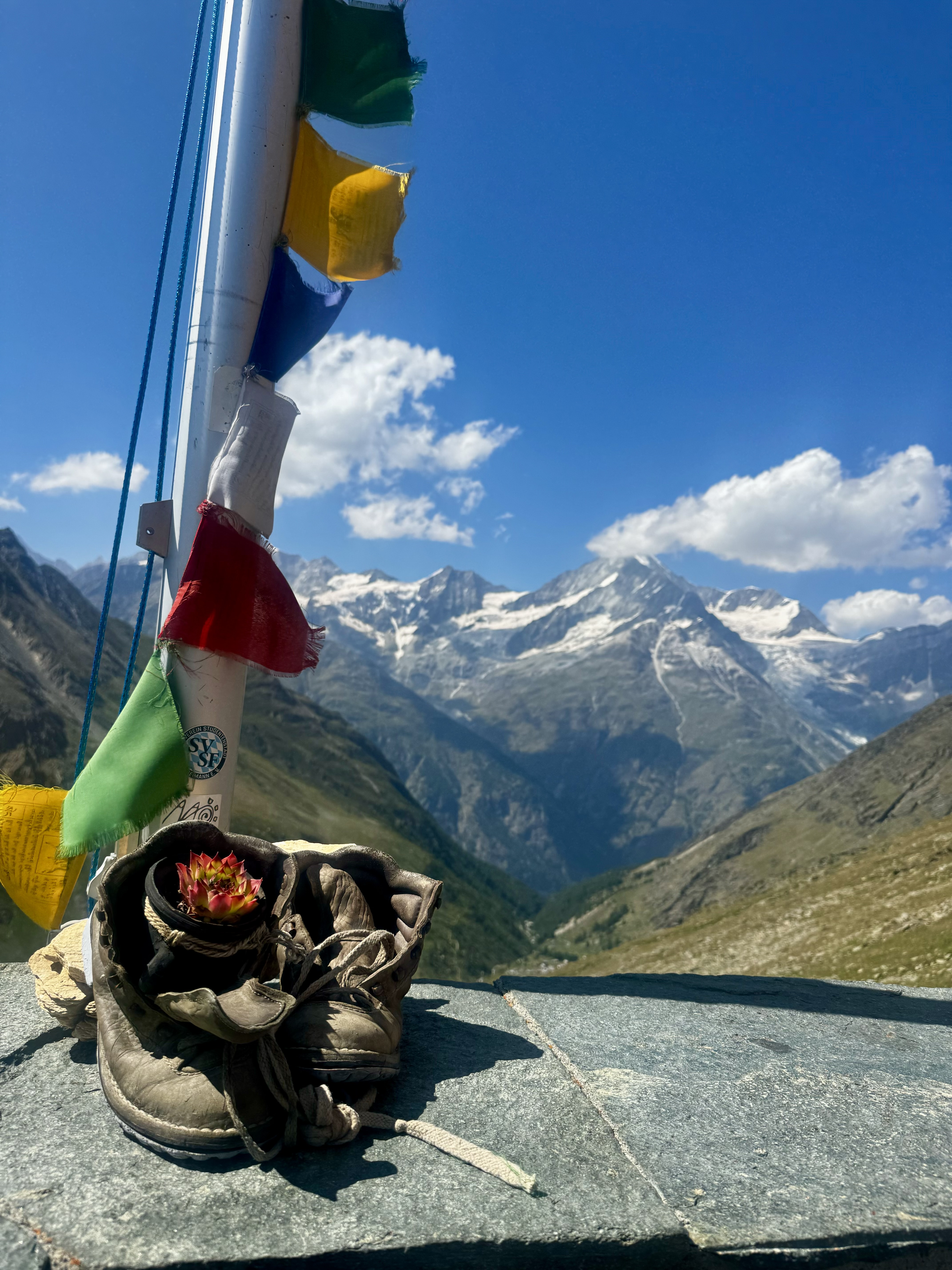 media_2QMQJKM2TRGHG842