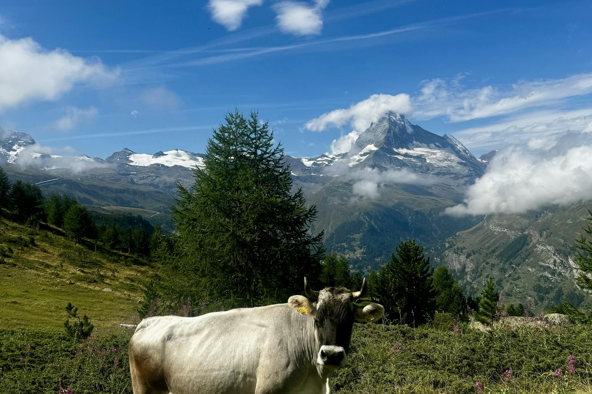 media_UQDPJRJHBH8L69RY