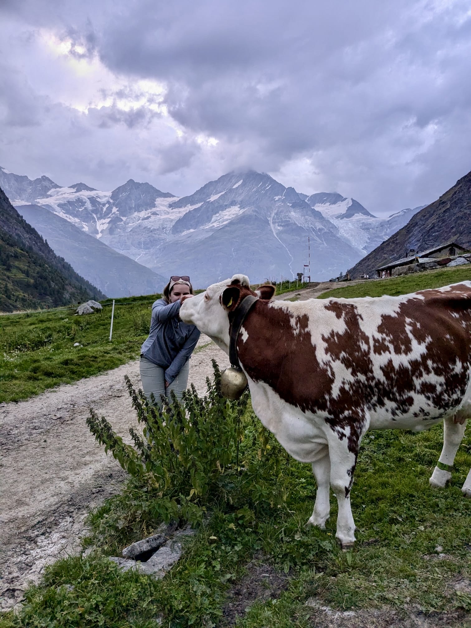 media_WM3LDVVFFYNB4NNL