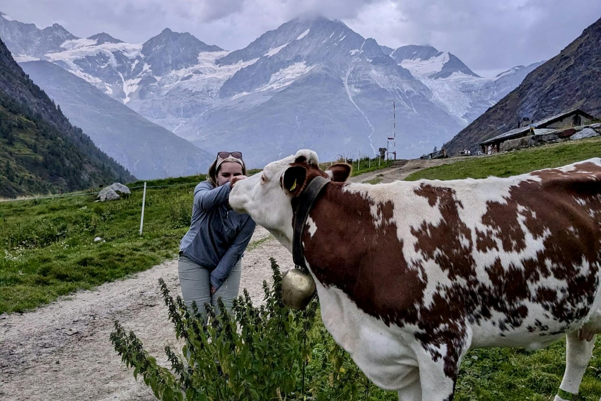 media_WM3LDVVFFYNB4NNL