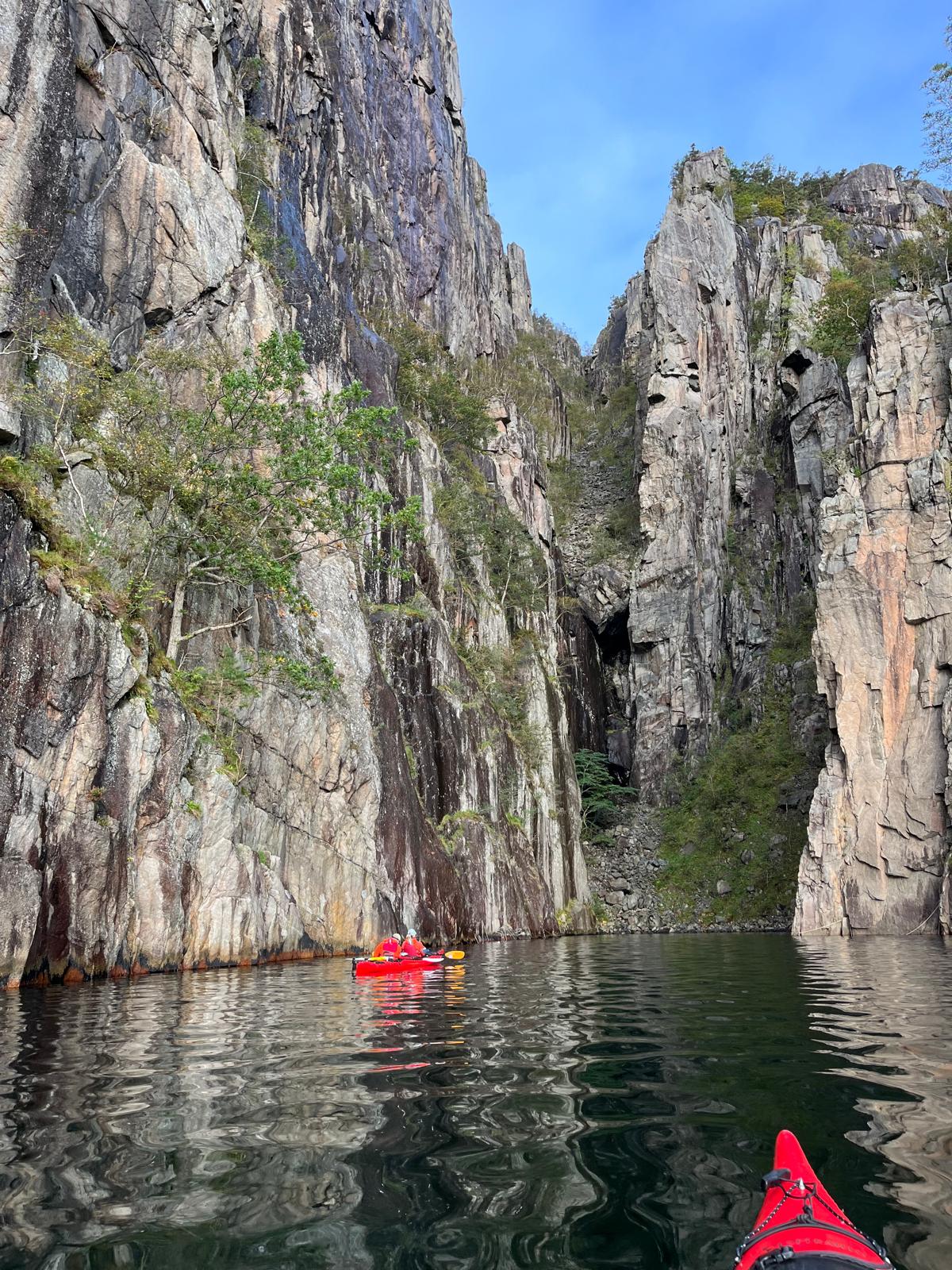 media_99N4HH6P2585ZLEJ